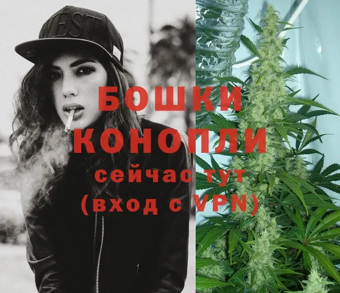 Бошки марихуана OG Kush  hydra ССЫЛКА  Черноголовка 